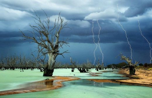 FOTO: Gada labākās National Geographic fotogrāfijas