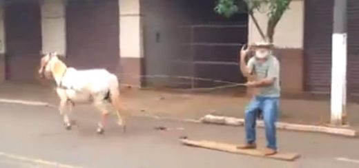 Smieklīgs VIDEO: Kāds vīrietis Brazīlijā demonstrē, kā pareizi pārvietoties ar zirgu