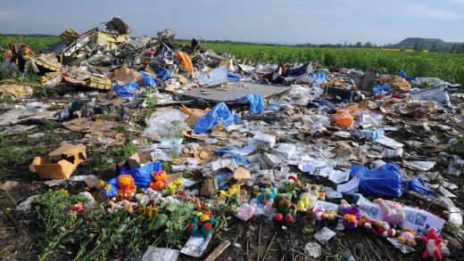 Šokējoši. Malaizijas aviotraģēdijas mirstīgās atliekas sākuši ēst dzīvnieki