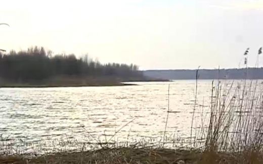 VIDEO: Šī pastaiga Buļļupē nebeidzās pārāk veiksmīgi