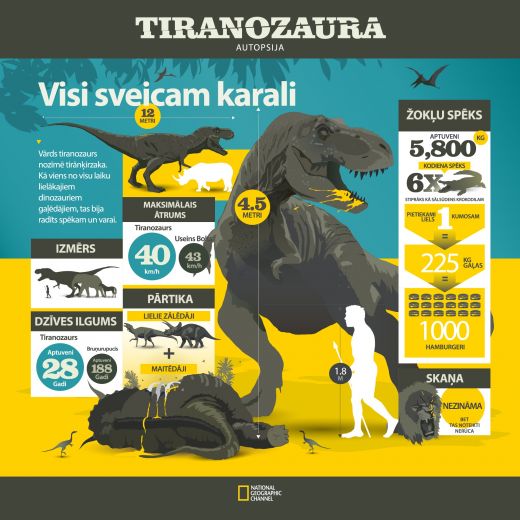 Kas slēpjas zem tiranozaura ādas jeb pieci mīti par dinozauriem